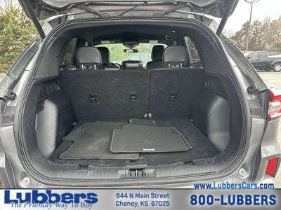 2024 Ford Escape ST-Line